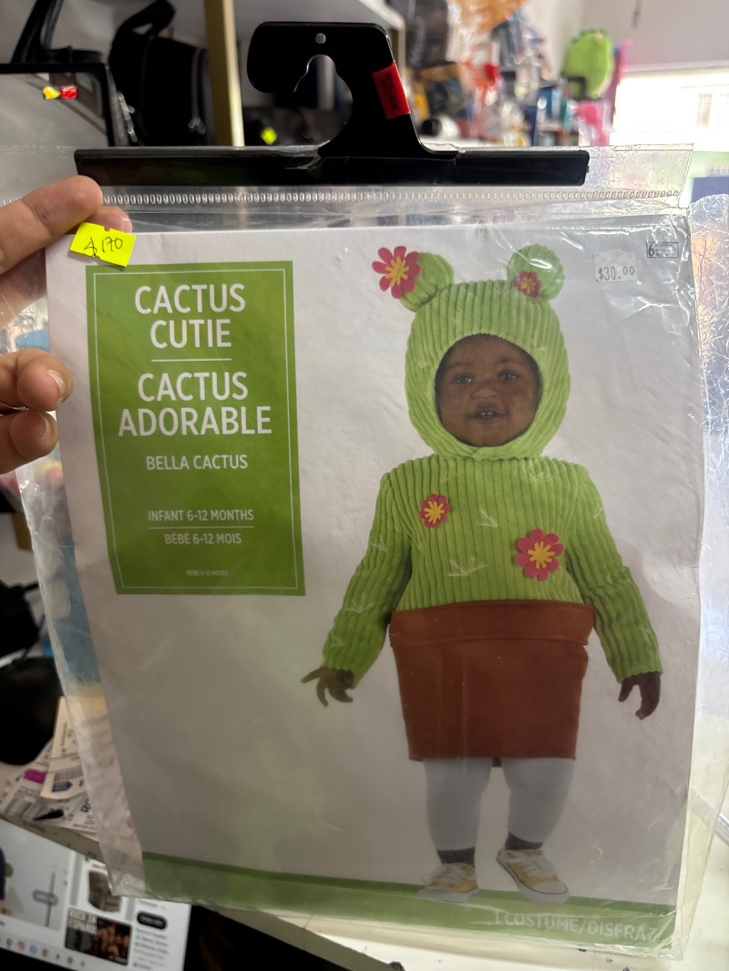 Disfraz cactus